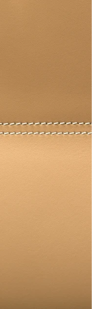 Cuir matière 1